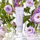 Веганський крем "Лавандова земля" Vegan Body Creme Lavender Land VBH103LVR фото 2